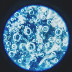 This is what glaze looks like under a microscope. Every bubble, crackle, and crystal is a tiny universe created by heat and chemistry in the kiln. It’s a reminder of how much magic is happening on a microscopic level.