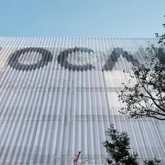A low angle view of the "LOCAL" co-living facade. The mesh screen gives the building a translucent, ethereal quality, while the bold graphics create a strong brand identity.