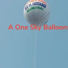 A closer look at a promotional balloon for a public school in Faridabad, floating high above. These are excellent for making school locations easy to find and promoting new admissions.