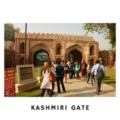 A group of curious explorers stands before Kashmiri Gate, a site central to the 1857 Revolt. I am explaining its strategic importance and the visible battle scars that tell a powerful story of rebellion and reclamation. These walks bring textbook history to life on the very ground where it happened.