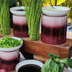 This image is from an event we catered for the esteemed Mr. Dhariwal, chairperson of the Manikchand group. The setup, featuring fresh, high-quality ingredients like these bundles of asparagus, reflects our commitment to excellence for every client.