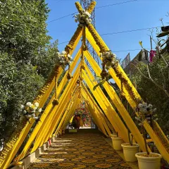 The entrance to a Haldi ceremony, designed as a beautiful walkway with bright yellow fabric and marigold flower garlands. It creates a perfect, sun-kissed welcome for your guests.