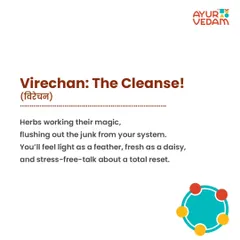 Virechana is the cleansing stage of Panchakarma, focusing on detoxifying the gut and liver. This purgation therapy uses specific herbs to flush out excess Pitta dosha and toxins, leaving you feeling light, clear, and refreshed.
