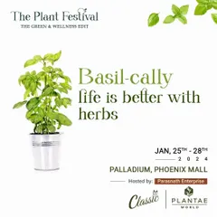 We believe life is better with herbs. Discover a variety of aromatic and culinary herbs like basil at our festival to start your own kitchen garden.