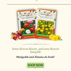 My marigold and zinnia seeds are perfect for bringing life to your garden. They bloom beautifully and attract helpful pollinators like bees and butterflies.