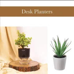 A great way to upgrade employee onboarding kits. This image shows trendy desk planters that can be included to add a touch of green and style to a new team member's workspace.
