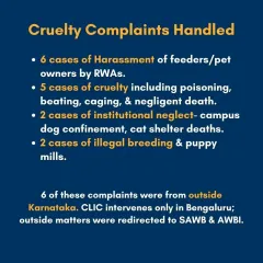 I handle numerous cruelty complaints, from harassment of feeders by RWAs and cases of poisoning or beatings to illegal breeding and institutional neglect. For cases outside Bengaluru, I connect people with their state's Animal Welfare Board.