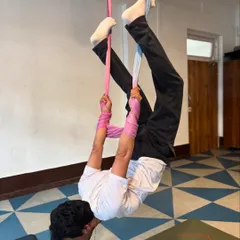 This student is demonstrating a beautiful vampire pose, a classic aerial inversion that builds upper body strength and core control. Notice how the hammock securely supports the body.