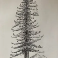 Nature is a great teacher. This simple yet detailed pencil sketch of a tree is a fundamental exercise in observation and texture that we teach in our foundational drawing classes for children.