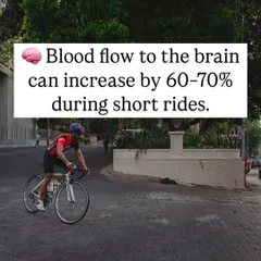 During even short rides, blood flow to the brain can increase significantly. This process enhances cognitive functions like memory, learning, and creativity.