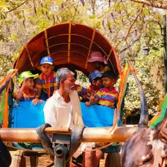 Learning at BIA extends far beyond the classroom walls. Our preschoolers enjoy a traditional bullock cart ride during a field trip to Jain Farm, an experience that connects them with nature and our cultural roots in a joyful, memorable way.