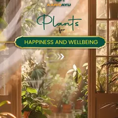 Just as plants need the right environment to thrive, so does your well-being. Our philosophy is rooted in using the power of nature to nourish your mind, body, and soul for true happiness and health.