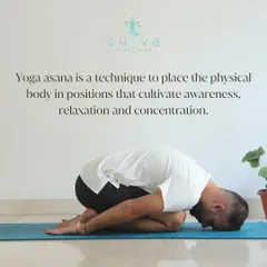 This image of Balasana, or Child's Pose, represents the essence of yoga asana. It is a position that cultivates awareness of the breath, deep relaxation for the body, and a state of quiet concentration for the mind.