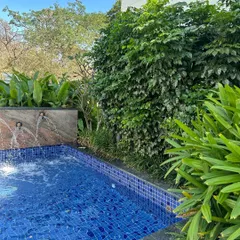 I designed this apartment's poolside area to feel like a private, tropical retreat. The dense foliage and water feature create a serene environment for residents to relax and unwind.