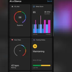 A look at my key metrics: a superior VO2 Max of 58, a good sleep score, and a low resting heart rate. This is what peak fitness looks like from the inside.