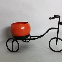 The mini tricycle planter shown with a bright orange pot, adding a fun pop of color.