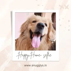 This is the kind of happy selfie we love to see. This Golden Retriever is feeling right at home.