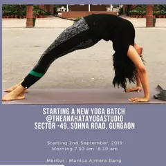 Demonstrating the full wheel pose, or Urdhva Dhanurasana. My own practice in advanced Hatha asanas informs my teaching, allowing me to guide students of all levels with a deep understanding of alignment and form.