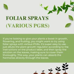 Foliar sprays containing various Plant Growth Regulators (PGRs) are an easy way to boost growth, flowering, and fruiting. The plant absorbs the hormones directly through the leaves for a quick effect.