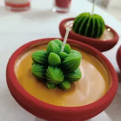 A close-up of a single succulent candle in a small terracotta pot. These make great party favors or small gifts.