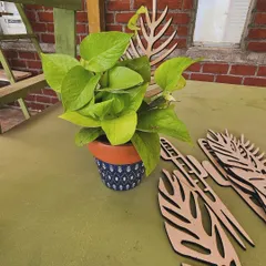 Elevate your garden game with our unique creeper plant supporters. These wooden leaf-shaped trellises give your climbing plants like Pothos the support they need in style.