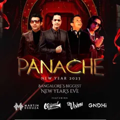Sharing the stage for the "Panache" New Year's Eve party at the JW Marriott Bangalore. These large-scale, multi-artist events require seamless coordination and the ability to keep a diverse crowd energized all night long, skills I bring to every gig.
