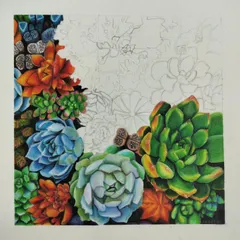 A wider view of the succulent WIP, showing about half the piece colored in. I use a grid method for complex compositions like this.