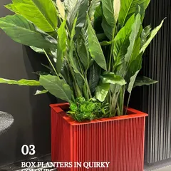 Who says planters have to be boring? I love using quirky, colorful planters like this red aluminum box planter to add a fresh pop of color to a garden or balcony. They are lightweight, durable, and make plant styling much more exciting.