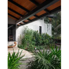 The entrance porch of Grove House is surrounded by dense plantation, creating a sense of arrival and concealing the home from plain sight.