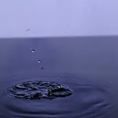 A single green droplet falls into dark water, creating a perfect ripple. This minimalist high-speed shot captures a moment of quiet, beautiful impact, demonstrating precision and artistry.