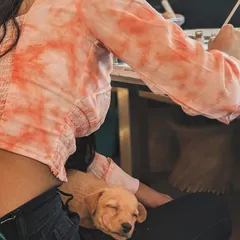 It's not just yoga. During our Art with Puppies workshops, you might find a sleepy pup using your lap as a bed while you paint. We provide all the art supplies for a relaxing, creative session where you can unwind with our furry friends.