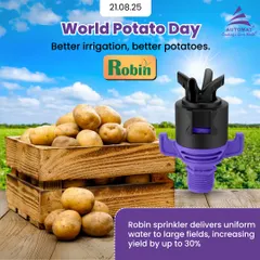 For potato cultivation, consistent irrigation is key. Our Robin sprinkler provides the uniform water distribution needed for optimal tuber formation, helping farmers achieve up to 30% higher yields. Better irrigation means better potatoes.