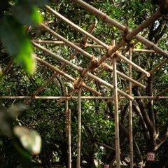A close-up of the bamboo mock-up, showing the simple yet effective joinery. These temporary structures help us and the client visualize the scale and feel of a space before committing to permanent construction.