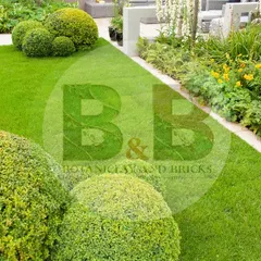 A beautifully manicured garden featuring sculpted spherical topiary bushes on a pristine lawn. The clean lines of the white border and the mix of flowering plants create a formal yet inviting landscape design.