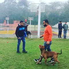 Here I am with Thor at a Canine Welfare Organisation obedience show. We proudly took home prizes for our performance, showcasing our skills in a public setting.
