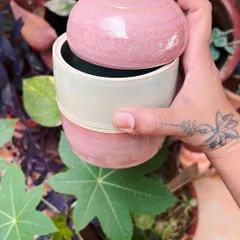 A beautiful lidded jar I made, glazed in two tones of pink and cream. These are perfect for storing little treasures.