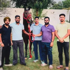 A proud moment with a new horse and its new family. It’s always a great day when one of our horses finds a new home where it will be valued and cared for.