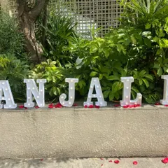 Add a personal touch with custom marquee letters spelling out a name. This was part of a romantic birthday surprise, creating a beautiful and illuminated focal point.