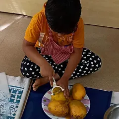 A young chef learns to peel a mango using a child-safe peeler. This practical life activity is excellent for developing fine motor skills and hand-eye coordination.