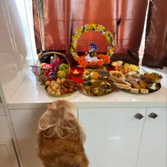 Posto taking his blessings during our first Janmashtami celebration with baby Shlok (Pablo).