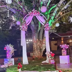I love transforming outdoor spaces, like this garden proposal setup under a large tree. The design includes a floral arch draped with soft fabric, hanging lanterns, and a rose petal aisle, using colored lights to create a magical atmosphere after sunset.