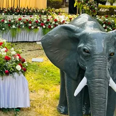 A life-sized elephant prop used as a decorative element for a destination engagement, adding a unique and grand touch to the outdoor setting.
