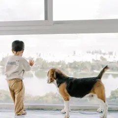 A boy and his dog looking out the window together, sharing a quiet moment. These are the unposed, story-rich images I love to create.