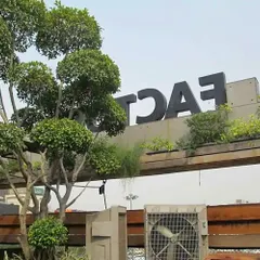 This project at Pub Factory in Gurgaon involved adding greenery to their rooftop and outdoor areas, using large date palms, topiary trees, and wall-mounted planters to create a rustic, green ambiance.