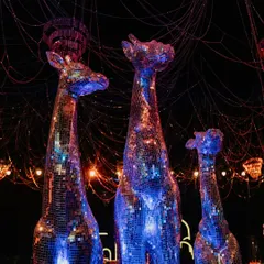 A family of disco-ball giraffes stands tall, adding a quirky and glamorous touch to this Sangeet night. We love incorporating unexpected elements that become conversation starters.