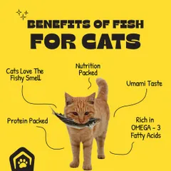 Cats are naturally drawn to fish for good reason. It's packed with protein and Omega-3 fatty acids, making it a highly nutritious and tasty part of a balanced feline diet.