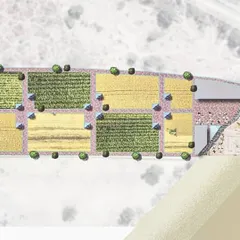 A site plan for an eco-resort concept on the Gomti flood plains. The design proposes lightweight 'living pods' that float over agricultural fields, arranged in a linear pattern that minimally disturbs the existing landscape and ecosystem.