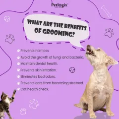 What are the benefits of grooming? Regular grooming prevents hair loss, skin irritation, and dental issues, and it's a great way to give your pet a health check.
