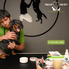 A pawdicure is more than just a nail trim. We provide a full treatment to ensure your dog's paws are clean, moisturized, and healthy.