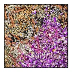 A close up of the beautiful ingredients that go into my homemade Mukhwas. You can see dried rose petals, fennel seeds, coriander seeds, and cinnamon, all contributing to its flavor and health benefits.